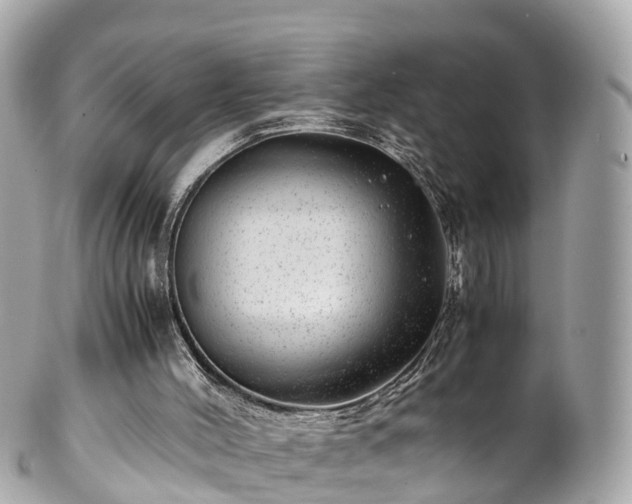 X0000102510004200808151558