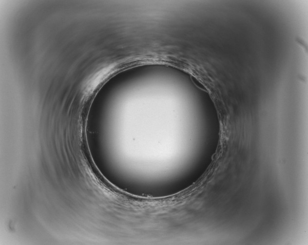 X0000102510005200808151558