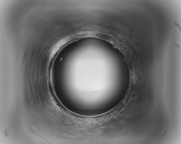 X0000102510006200808151558