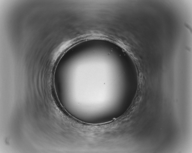 X0000102510007200808151558