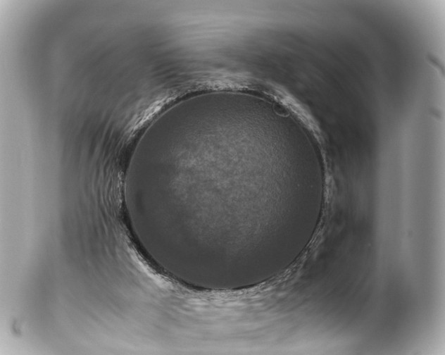 X0000102510009200808151558