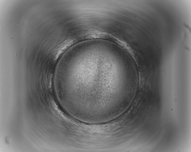 X0000102510010200808151558
