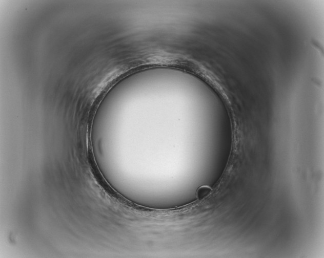 X0000102510011200808151558