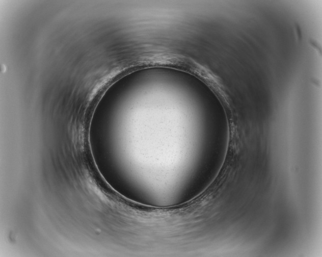 X0000102510012200808151558