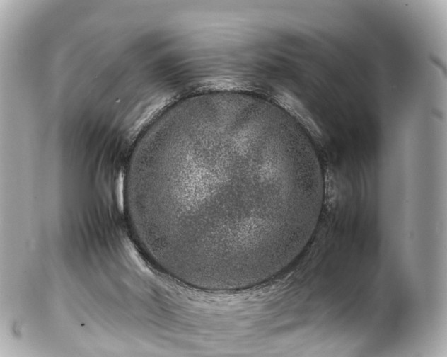 X0000102510014200808151558