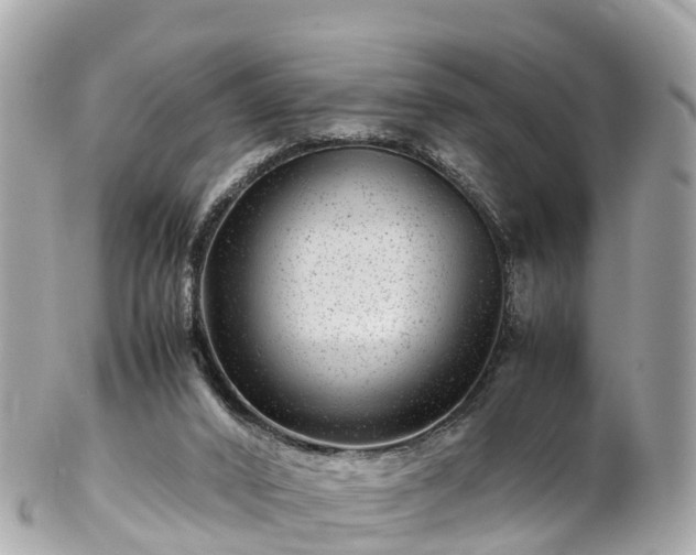 X0000102510016200808151558