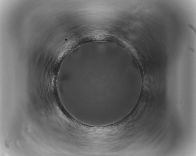 X0000102510018200808151558