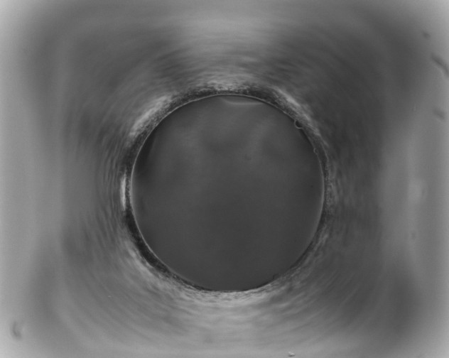 X0000102510019200808151558
