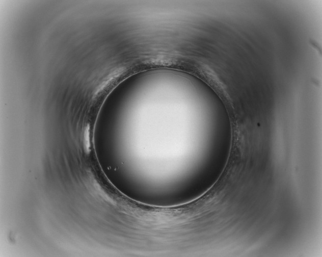 X0000102510020200808151558