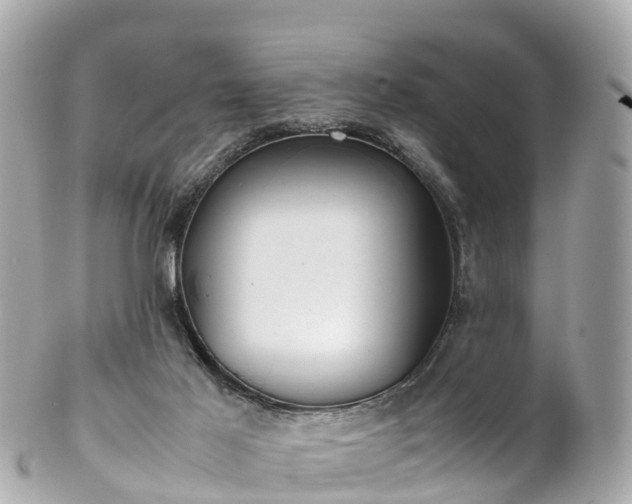 X0000102510021200808151558