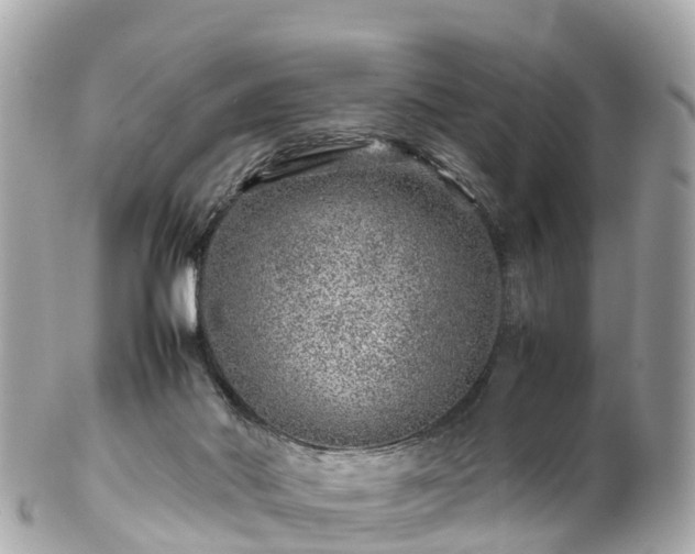 X0000102510022200808151558