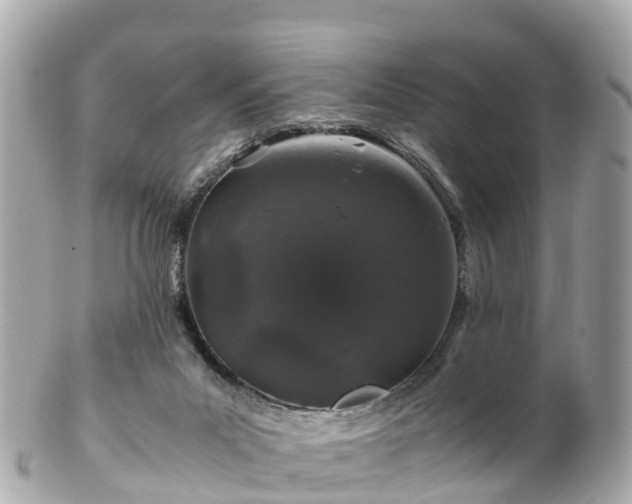 X0000102510023200808151558