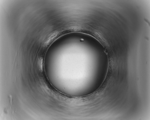 X0000102510024200808151558