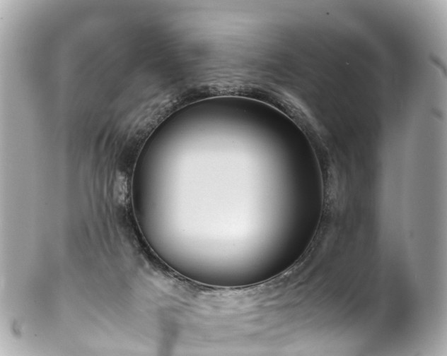 X0000102510025200808151558