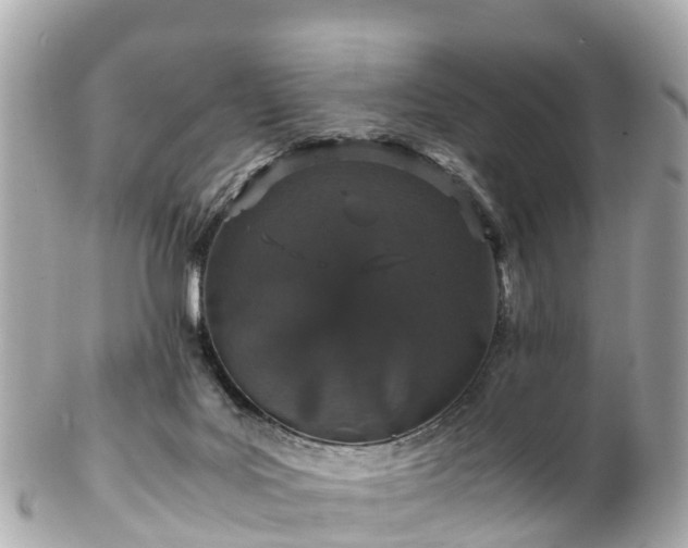 X0000102510027200808151558