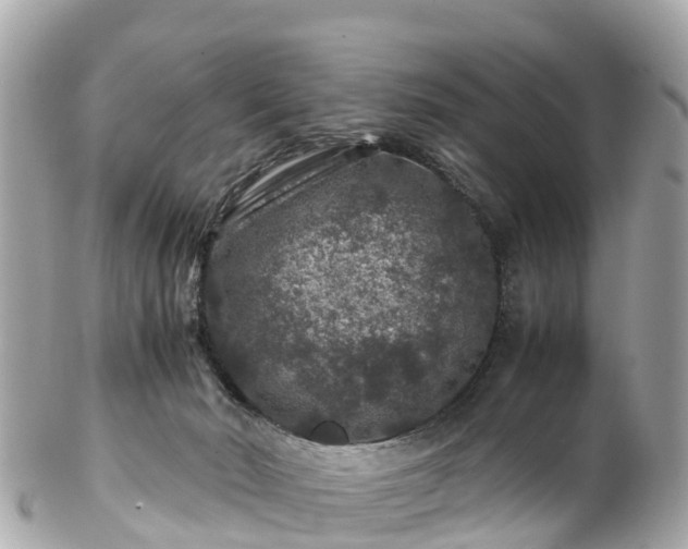 X0000102510030200808151558