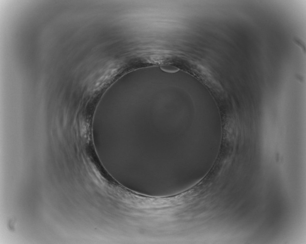 X0000102510031200808151558