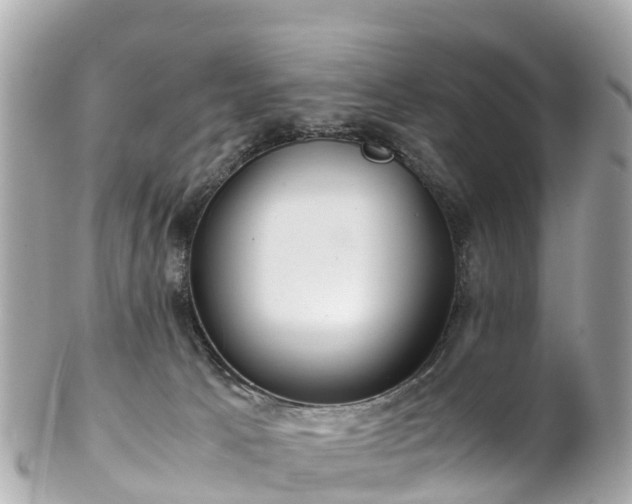 X0000102510033200808151558