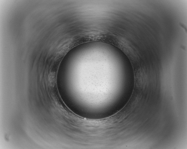 X0000102510034200808151558