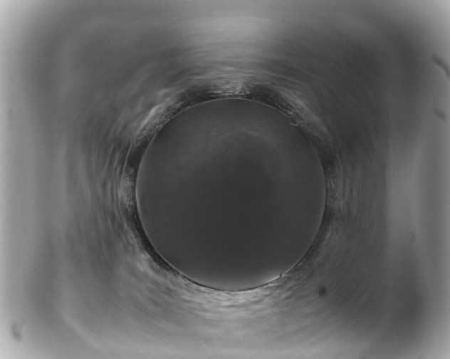 X0000102510035200808151558