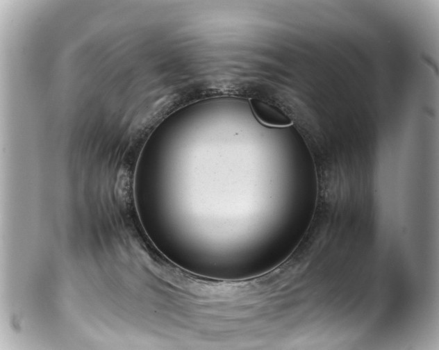 X0000102510036200808151558