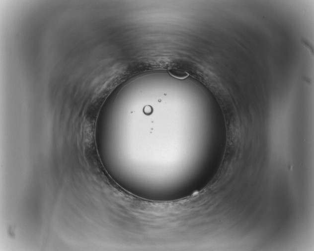 X0000102510037200808151558