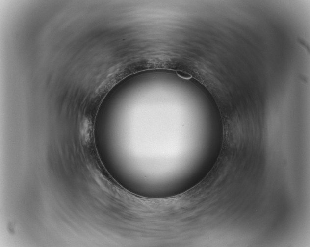 X0000102510038200808151558