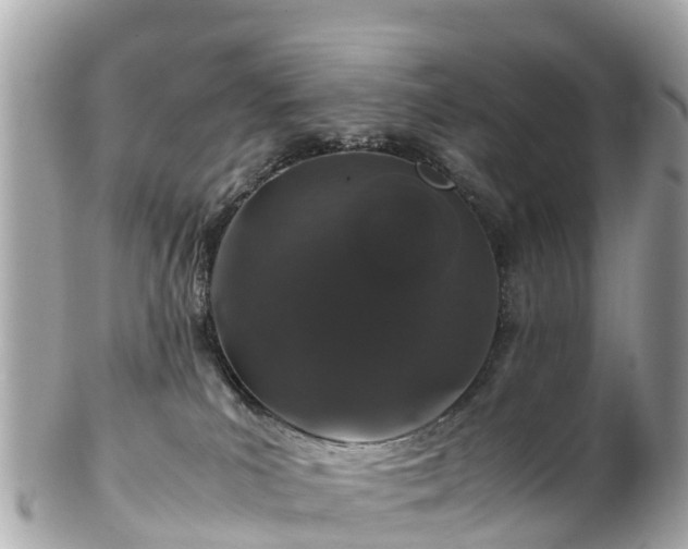X0000102510039200808151558