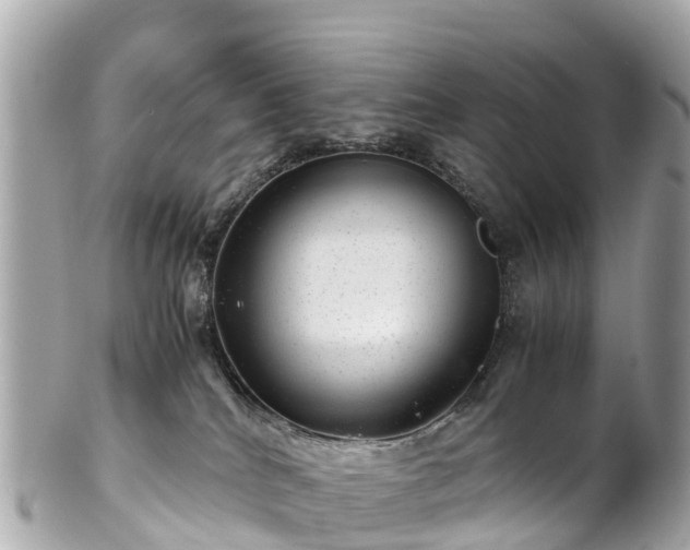X0000102510040200808151558
