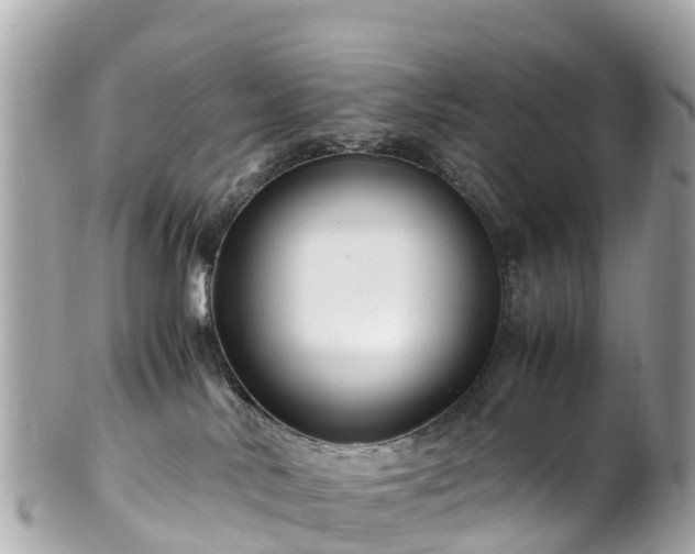 X0000102510042200808151558