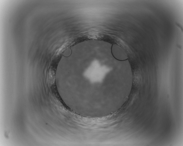 X0000102510043200808151558
