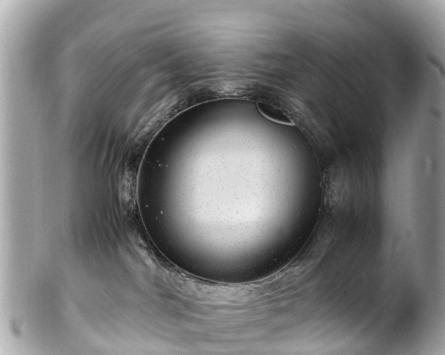 X0000102510044200808151558