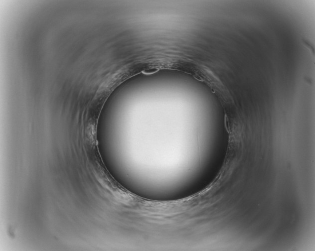 X0000102510045200808151558