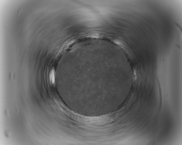 X0000102510046200808151558
