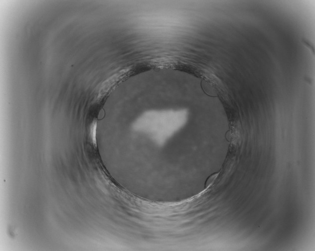 X0000102510047200808151558