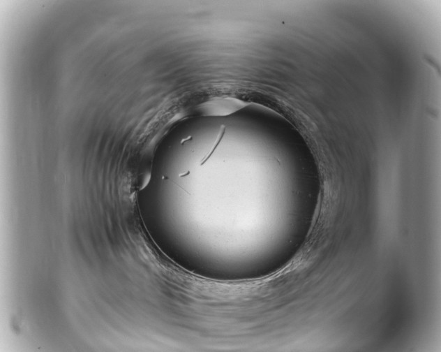 X0000102510048200808151557
