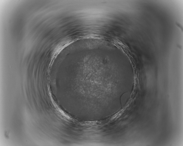 X0000102510049200808151557