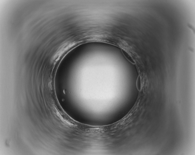 X0000102510050200808151557