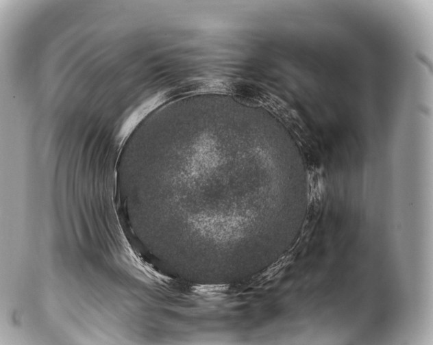 X0000102510051200808151557