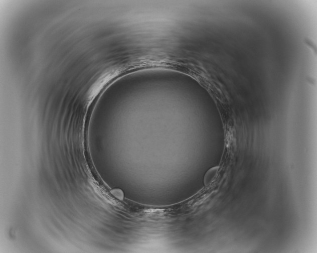 X0000102510052200808151557