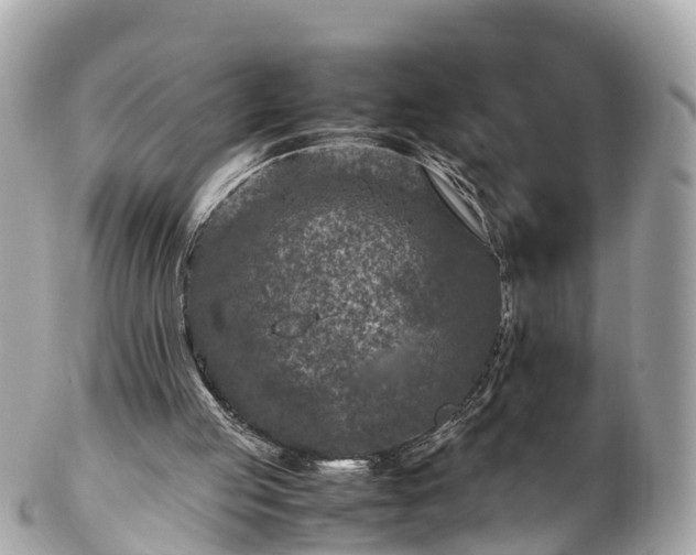 X0000102510053200808151557