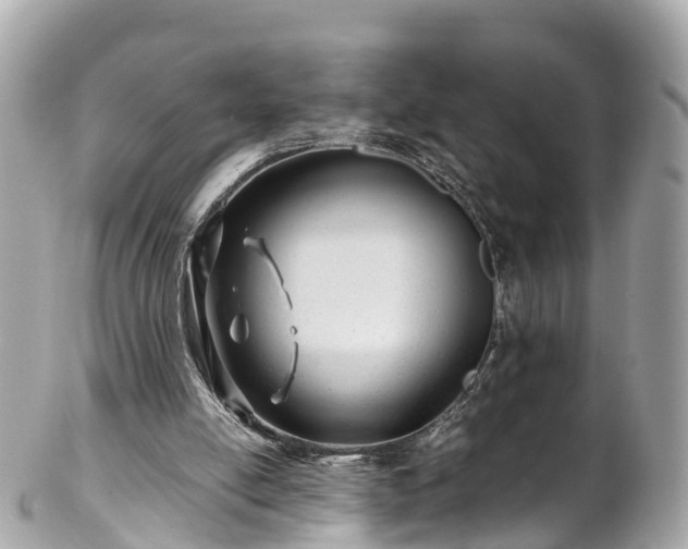 X0000102510054200808151557