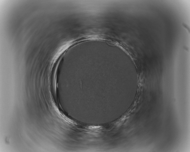 X0000102510055200808151557