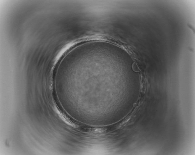 X0000102510056200808151557