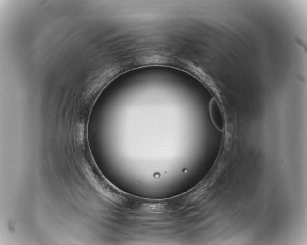 X0000102510057200808151557