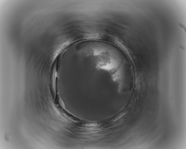 X0000102510059200808151557