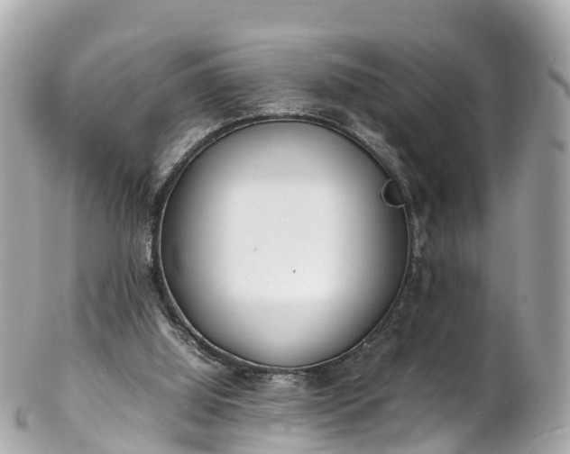 X0000102510060200808151557