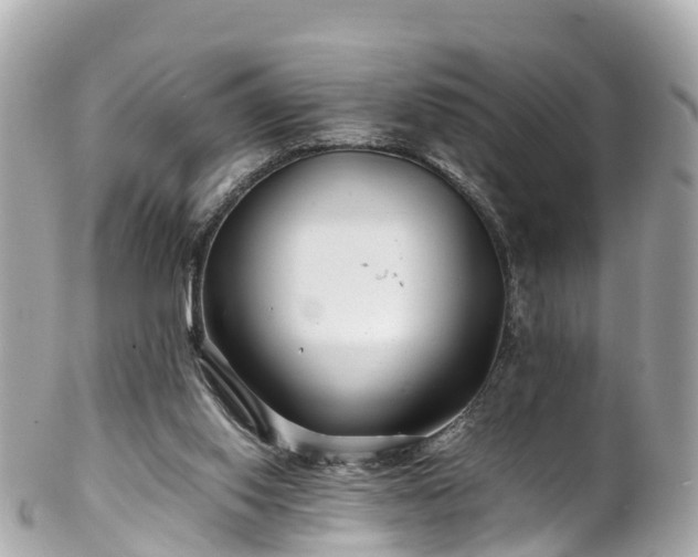 X0000102510062200808151557