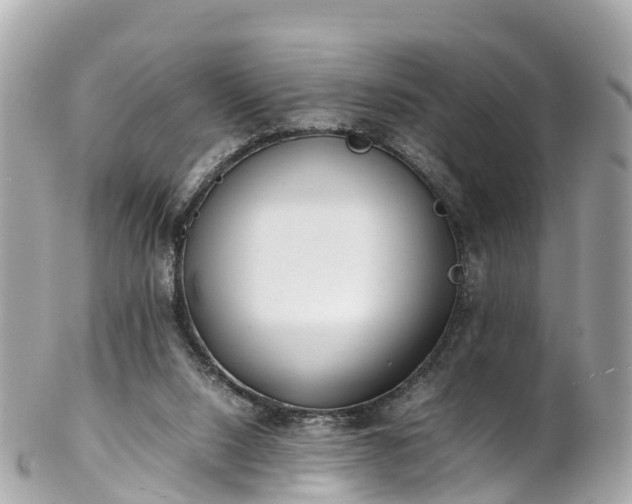 X0000102510064200808151557