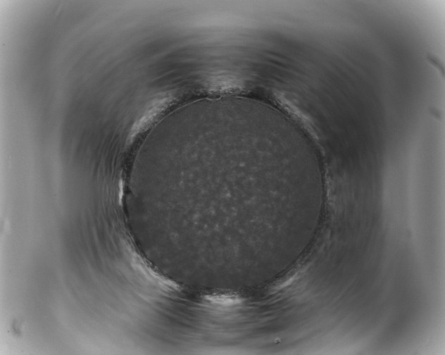 X0000102510067200808151557